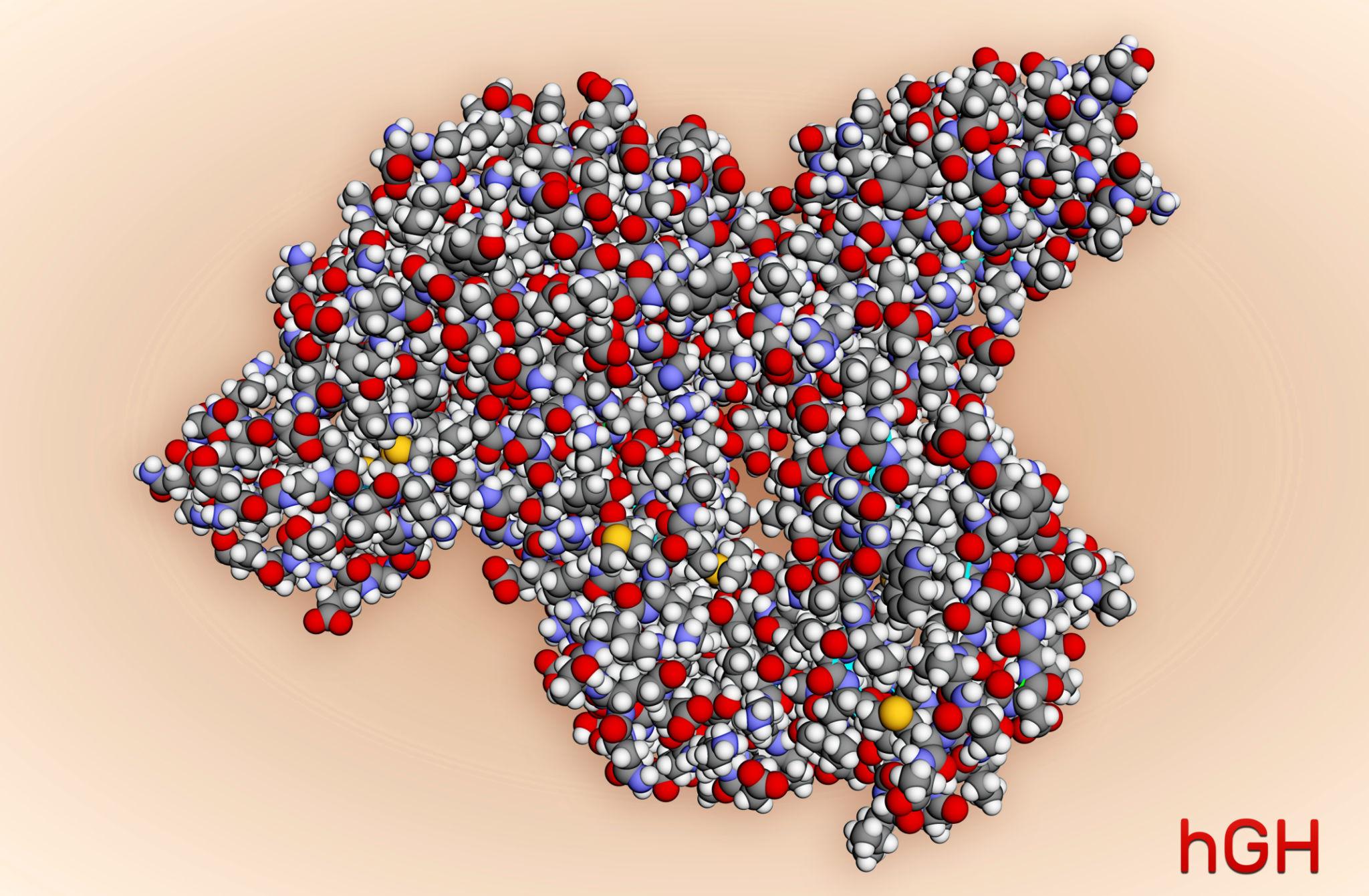 Is HGH 191AA a Peptide? Everything You Need to Know